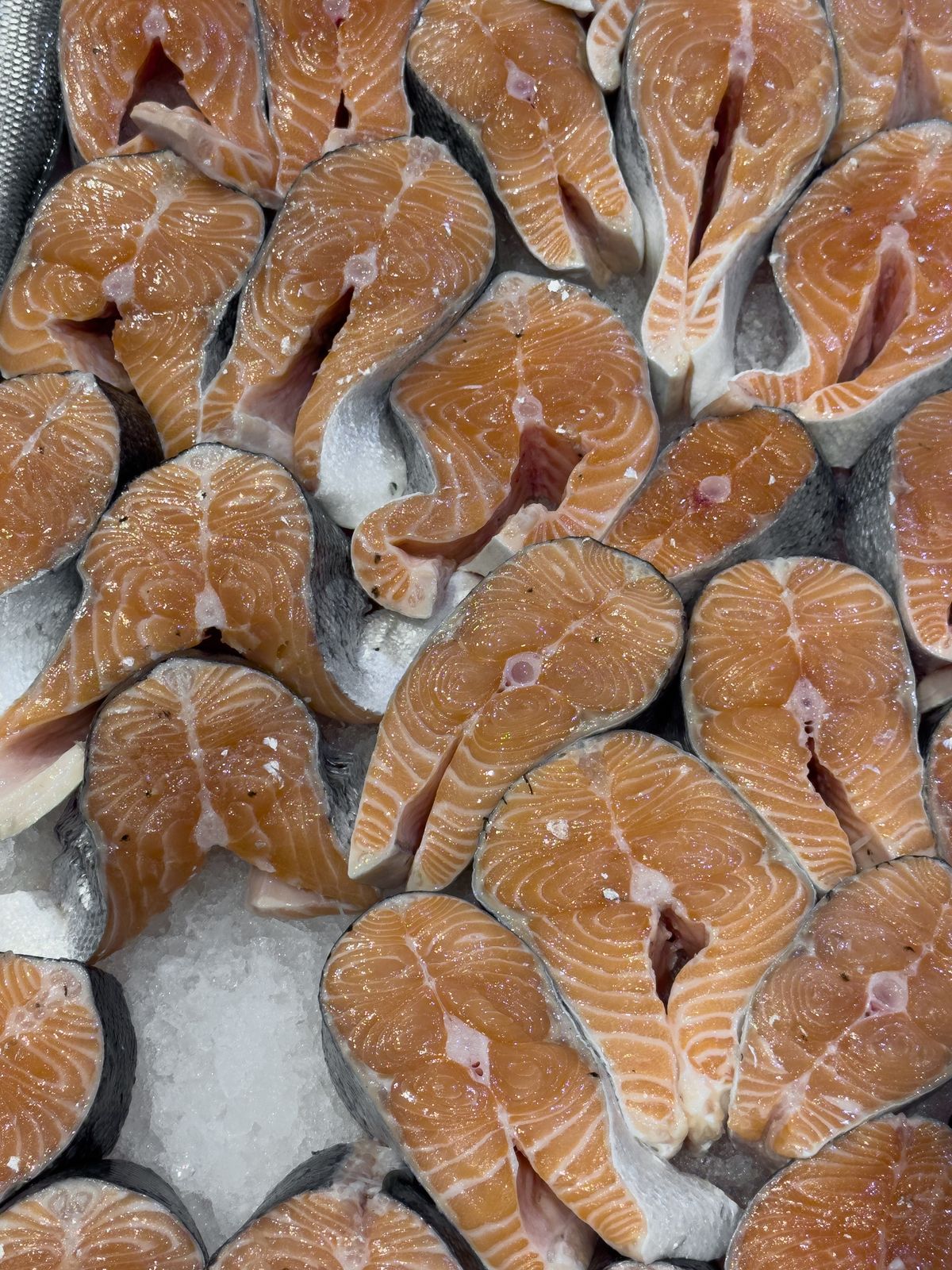 Filetes de salmón fresco sobre hielo